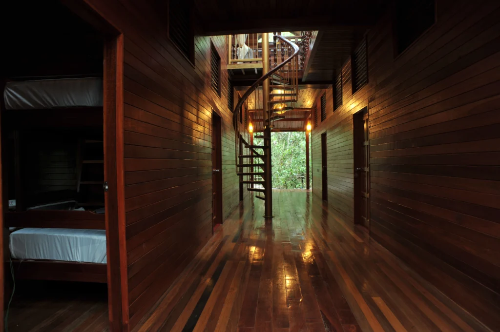 Treehouse (3)